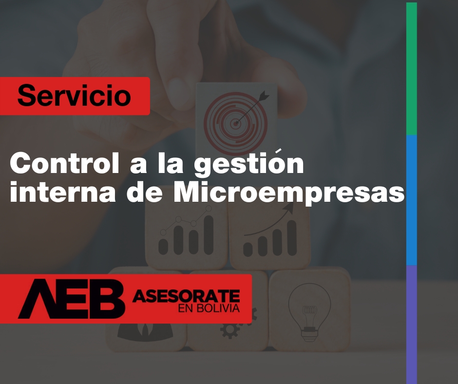 Control a la Gestión Interna de Microempresas